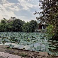 Bán lô đất vườn ngay tại phường Phước Tân dt 2000m2 Bien Hòa Đồng Nai giá chỉ 7,2 tỷ