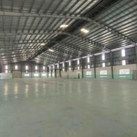 Cho thuê Kho xưởng TT Mỹ Phước, Tân Phước, Tiền Giang. dt Kgo xưởng 8000m2.