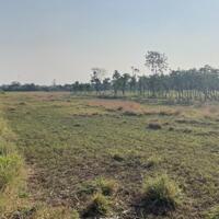 2 công đất vườn có tới 500m2 thổ tại Long Hòa, TP Gò Công, Tiền Giang