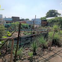 NGỘP bán lô đất 160m2 p. An Hòa, gần bệnh viện Shingmark, giá chỉ 1,25 tỷ