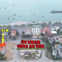 Cần Bán 2 Lô Đất Quay Biển Kđt Cột 5 - 8 Hạ Long Diện Tích 427.41M2 Giá Tốt. Liên Hệ: 0986.284.034