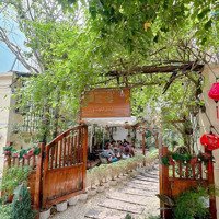 Tôi Lâm - Chính Chủ - Cắt Lỗ - Sang Nhượng - Cafe Bt Vườn Đào - Gần Lotte - Tây Hồ - Diện Tích: 280M2