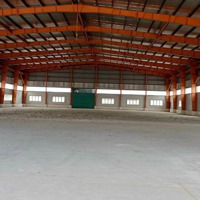 Cho Thuê Nhà Xưởng Trong Kcn Long An - Tdt: 11.000M2 - Dtx1: 4000M2 - Dtx 2: 3000M2, 96K/M2/Th