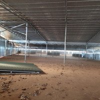 Bán Hoặc Cho Thuê Dài Hạn Kho 7400M2 Cụm Cn Krông Buk