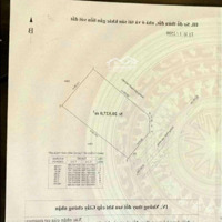 Cần Chuyển Nhượng 2Hecta Đất Tmdv Tại Mặt Đường 353 - Dương Kinh - Đồ Sơn. Giá: 1,8 Triệu/M2