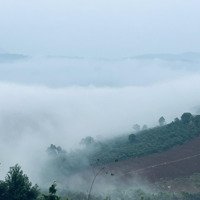 Bán Lô Biệt Thự Vườn, 800M2 , Hồ Mây - Lộc Tân - Bảo Lâm. Sổ Hồng Riêng View Panorama