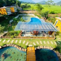 Chuyển Nhượng Homestay View Cánh Đồng 2200M2 Tại Trung Tâm Nghỉ Dưỡng Hoà Lạc( Thạch Thất) Siêu Rẻ