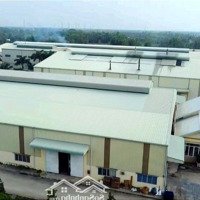 Chính Chủ Cho Thuê Xưởng 5000M2- Qln2, Bến Lức, Long An - 200 Triệu/Tháng