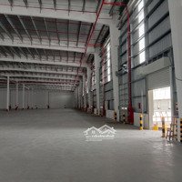 Cho Thuê 3 Xưởng Mớidiện Tích2500M2; 3200M2: 4400M2 Ở Bắc Giang. Pccc Trong + Ngoài Đầy Đủ. Giá: 63 K/M2