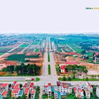 Chính Chủ Cắt Lỗ Lô Đất Dự Án Lam Sơn Nexus City