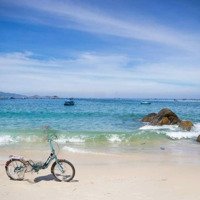 Bán Đất Đường Bê Tông View Biển Bình Lập,Cam Lập,Cam Ranh,Khánh Hòa.