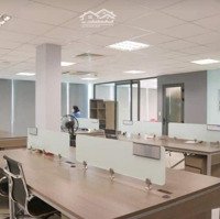 Cho Thuê Văn Phòng Tòa Nhà Nam Việt Diện Tích 160M2 Tại Phú Lợi, Bình Dương