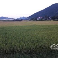 Bán Đất Thổ Cư Gần Thành Phố Nha Trang Giá Rẻ, Gần Khu Công Nghiệp Diên Phú, Diên Khánh