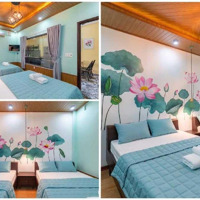 Siêu Rẻ! Nhà 140M2, Dòng Tiền 45 Triệu/1 Tháng, Trưng Nữ Vương, Hải Châu, Đà Nẵng, Nhỉnh 6 Tỷ