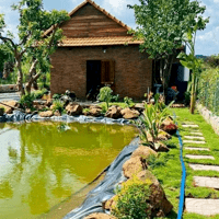 Mua bán đất nền organic Nature Garden Bình Phước