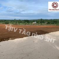 Công ty CP đầu tư và phát triển Thế Giới Đất Việt Mua bán đất nền Organic Nature Garden Bình Phước