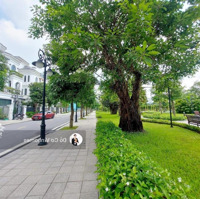 Rẻ Nhất Vinhomes Oean Park - Gia Lâm, Biệt Thự Liền Kề Đảo Ngọc Trai Sổ Đỏ Lâu Dài, Giá Chỉ 15 Tỷ