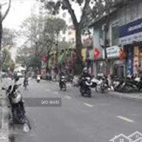 Bán Nhà Riêng 46M2 Đội Cấn, Dòng Tiền Kinh Doanh Siêu Khủng, Giá Bán 16 Tỷ (Có Tl)