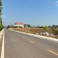 Đất thị trấn trung tâm Bình Phước đối diện Khu công nghiệp hiện hữu.250 triệu. 500m2. xây được 25 phòng trọ.