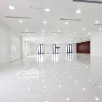 Cho Thuê Sàn Văn Phòng Tại Mặt Đường Hòa Mã, Phường Phạm Đình Hổ. 240M2/Sàn