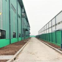 X658. CHO THUÊ KHO XƯỞNG KCN ĐÌNH VŨ 11.3HA CÓ PCCC auto / READY BUILT FACTORY FOR LEASE