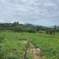 1850M2 Đất Trồng Cây Lâu Năm Mặt Tiền Đường Nhựa View Suối Gần Nhà Dân Ở Hòa Ninh.