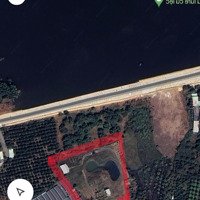 Bán Nhà Vườn Nghỉ Dưỡng Cạnh Hồ Suối Môn Tại Long Tân, Đất Đỏ, Bà Rịa Vũng Tàu