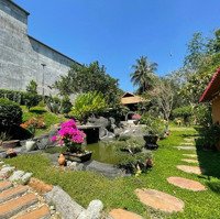Chủ Cần Bán Nhà Vườn Có Sẵn Nhà Yến Đang Thu Hoạch Ổn Định Gần Tttp. Nha Trang
