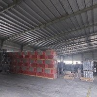 Cho Thuê Xưởng 3000M2 Đường Trần Đình San, Có Điện 3 Pha, Trạm Điện Riêng, Giá Cho Thuê 32-35K/M2