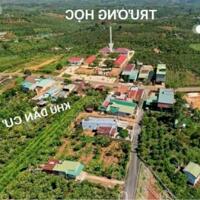 Bán nhanh lô đất 139,6m2 sẵn 77,5m2 thổ cư xã Lộc An, Bảo Lâm