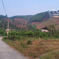 2.5Ha Đất Khu Dân Cư Tiện Đường,Điện