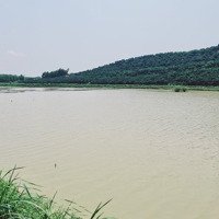Đất Bám Hồ, Bám Suối Siêu Đẹp Cần Bán Giá Rẻ Như Cho. Chỉ 600K/M2