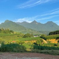 Chỉ Hơn 1 Tỉ Sở Hữu Ngay 1087M2 Ở Minh Quang Ba Vì - Giá Tốt