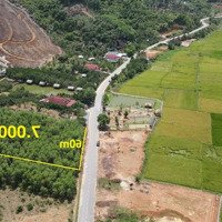 Bán 7.000M2 Quy Hoạch Full Thổ Cư Đường Hương Lộ 62 Xã Khánh Phú, Khánh Vĩnh Liên Hệ: 0788.558.552