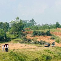 Tôi Mong Muốn Bán Gấp Mảnh Đất Trong Kcn Lam Sơn Sao Vàng , Diện Tích: 100M ,Gần Sân Bay Gia Lộc 370 Triệu