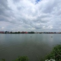 Đất Ven Sông 5.500M², Bình Quới