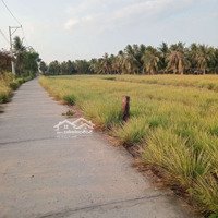 Đất Giá Rẻ Huyện Tân Phú Đông Tiền Giang
