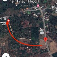 Cần Bán Gấp 1000M2 Vườn Trái Cây Sầu Riêng Tại Đồng Nai