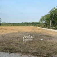 Cần Tiền Bán Ngay Lô Đất Ở Kcn Phước Đông-Giá Chỉ 350 Triệu -Full Ont