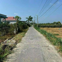 Đất Lúa Xã Vĩnh Công 15 X 68 ( 1000M2 ) - Đường 4M- 900 Triệu ( Chốt