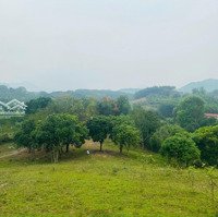 Bán 7Ha Đất Thổ Cư + Vườn + Rừng Bám Suối View Đẹp Giá Rẻ Tại Kim Lập Kim Bôi Cách Hà Nội 68Km