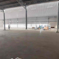 Cho Thuê Xưởng Trong Kcn Tam Phước Diện Tích: 1600M2 Gần Ql51