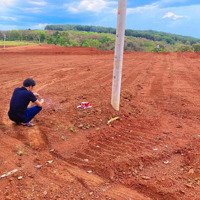 Đất Thổ Cư Giá Rẻ Giáp Đồng Phú . Sổ Sẳn Công Chứng Trong Ngày