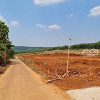 Đất Thổ Cư Giá Rẻ Giáp Đồng Phú . Sổ Sẳn Công Chứng Trong Ngày