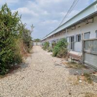 Cần bán 4454 m² đất xã Long Phước, TP Bà Rịa.