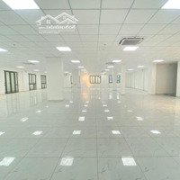 Mt Trương Định - Kỳ Đồng Quận 3 20X27M,Hầm 1 Trệt 8 Lầu 18.000 Usd