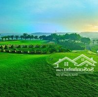 Lô Đất Tp Biên Hòa 100M2 Đường 13M Giá Bán 1,6 Tỷ Sổ Đỏ Sang Tay Nhanh