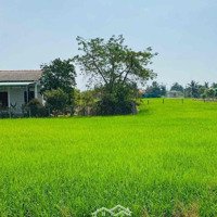 6X22M Full Thổ - 565 Triệucó Thương Lượng(Bao San Lắp). Đan 4M Ng V Đường