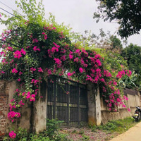Bán 919M2, 100M2 Đất Ở Tại Hoà Sơn, Lương Sơn, Hoà Bình
