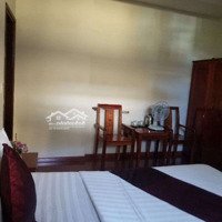 Chinh Chủ, Homestay Khu Vực 2B Phố Cổ Hội An.